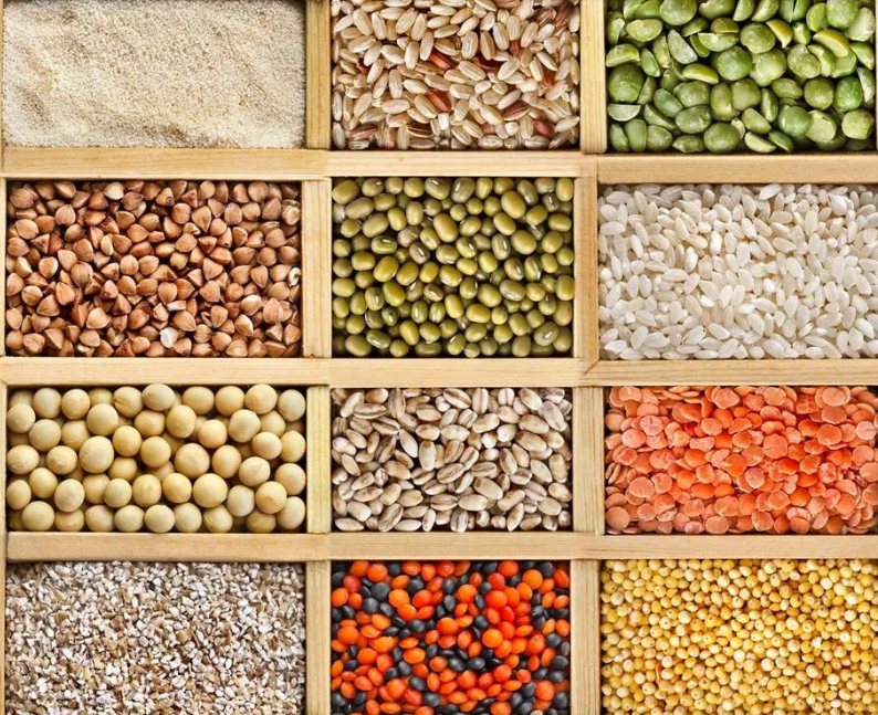 各种豆类营养价值保健功效